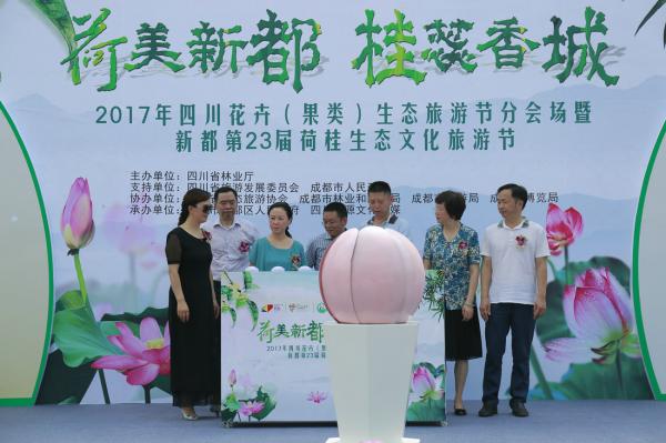 成都活動執行公司的工作內容怎樣的